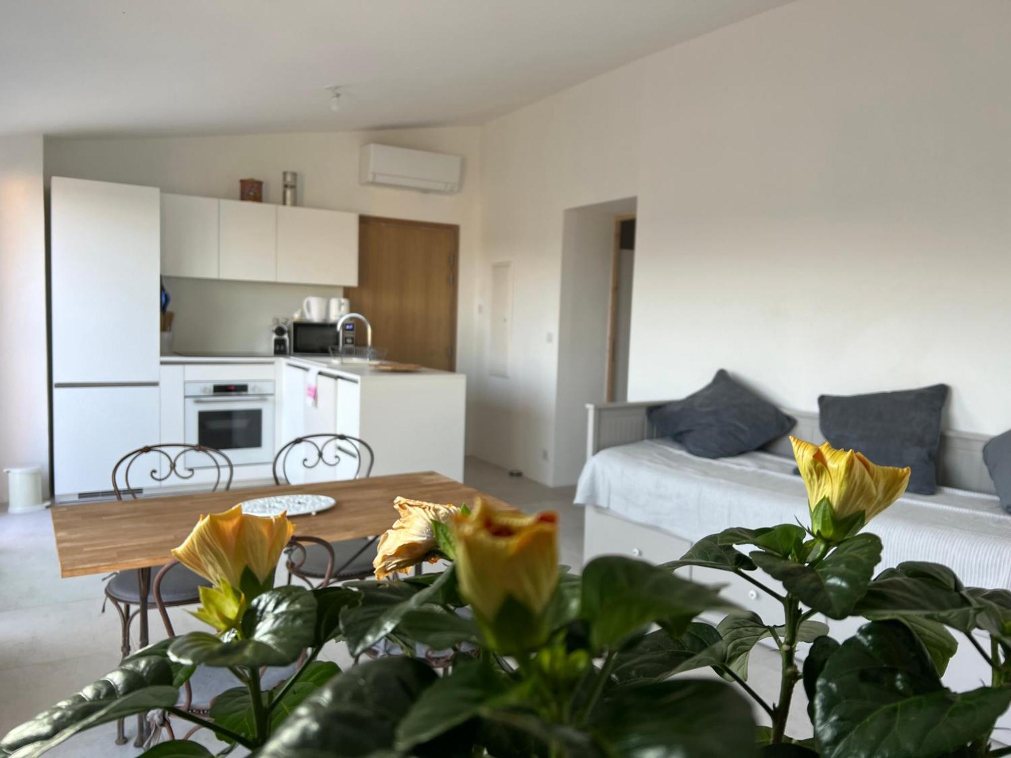 Au Coeur De Seillans, Charmant Logement, Grande Terrasse Et Panorama Luaran gambar